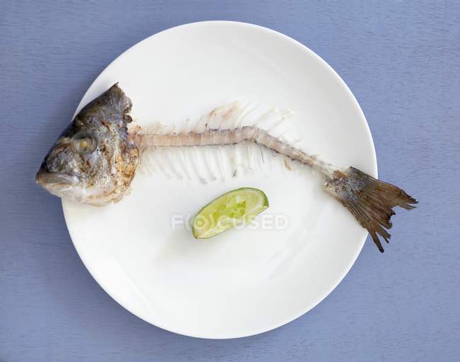 Верхний вид рыбных костей с головой и хвостом на тарелке — стоковое фото