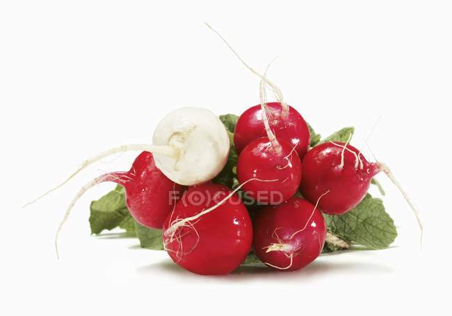 Bunch of Red Radishes — Stock Photo