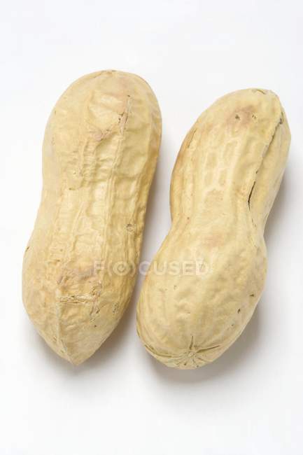 Dos cacahuetes sin cáscara - foto de stock