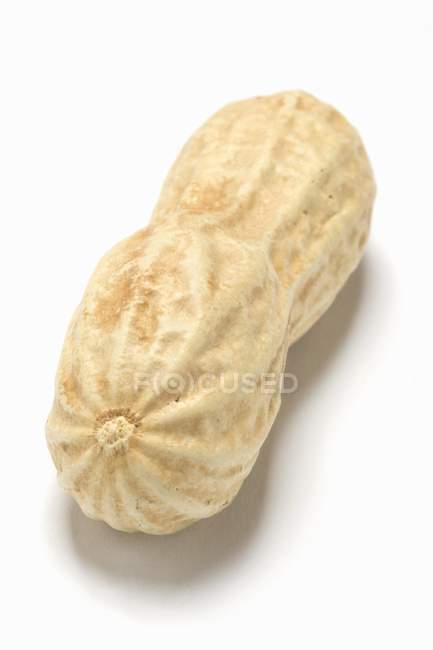 Une cacahuète non décortiquée — Photo de stock