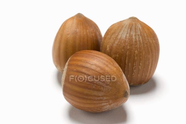 Three unshelled hazelnuts — Stock Photo