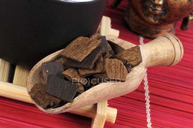 Eucommia bark in a scoop — Stock Photo