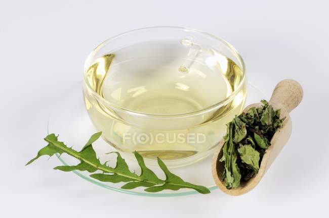Dandelion tea in cup — Stock Photo
