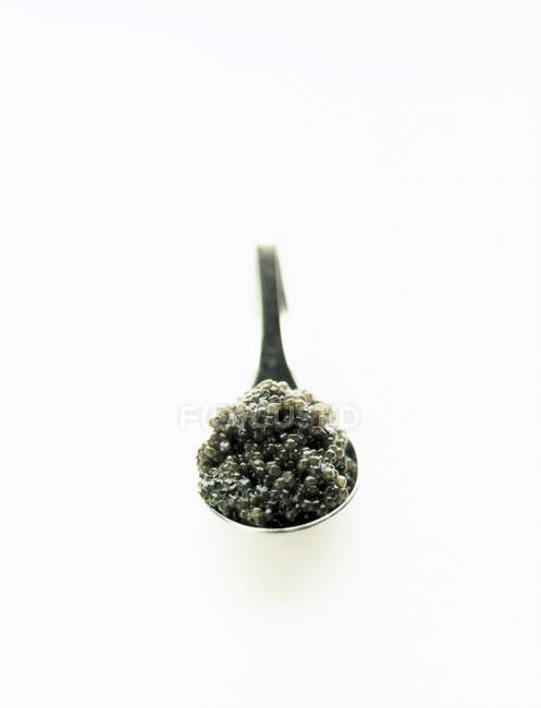 Cuchara con caviar beluga - foto de stock