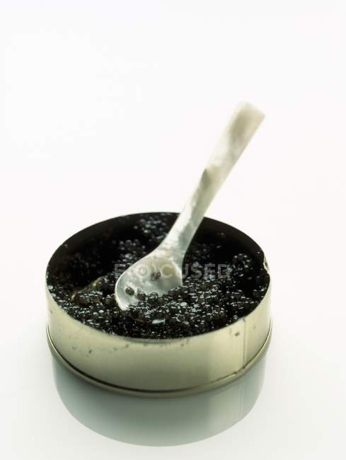Estanho de caviar beluga com colher de pérola — Fotografia de Stock