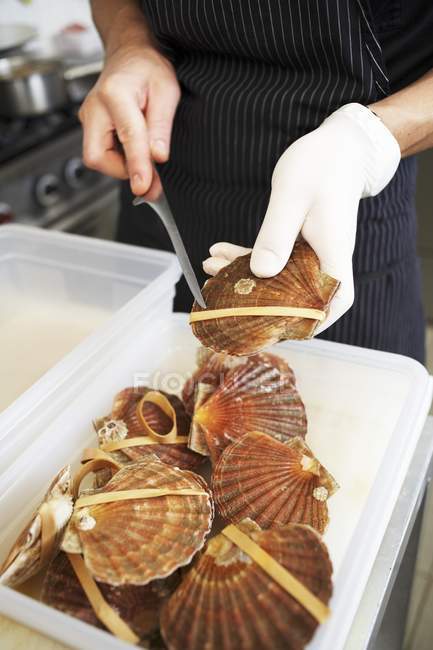 Cropped view of person removing rubber band from scallop — Stock Photo