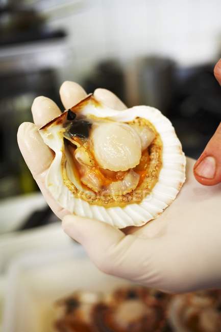Closeup cropped view of hand holding opened scallop — Stock Photo