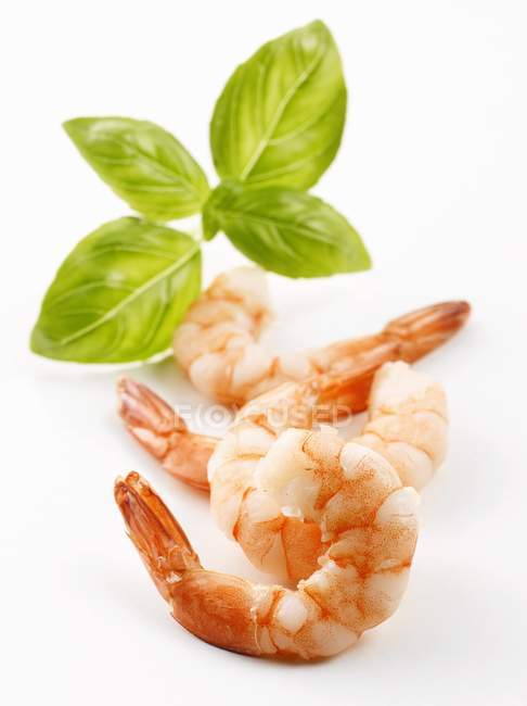 Peeled prawns with basil — Stock Photo
