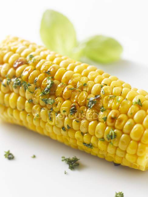 Gegrillter Mais auf dem Maiskolben — Stockfoto