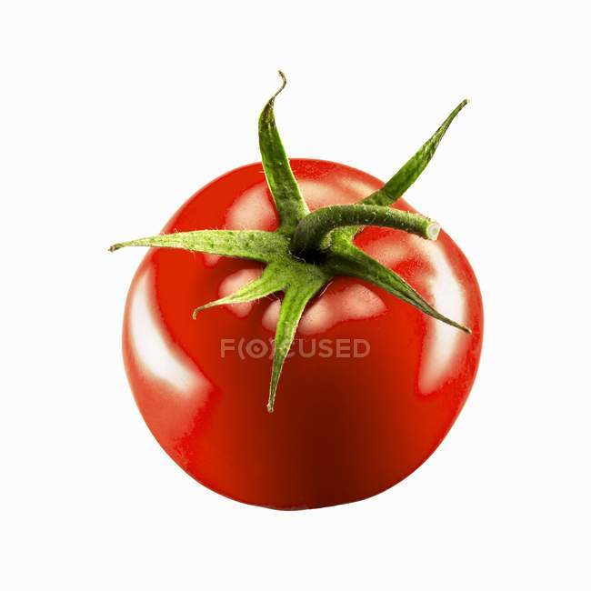 Tomate vermelho fresco — Fotografia de Stock