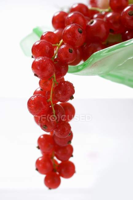 Groselhas vermelhas no fundo branco — Fotografia de Stock