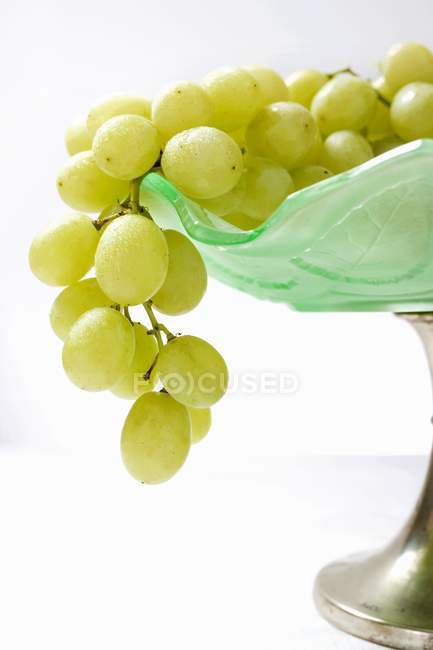 Uvas verdes en boal - foto de stock