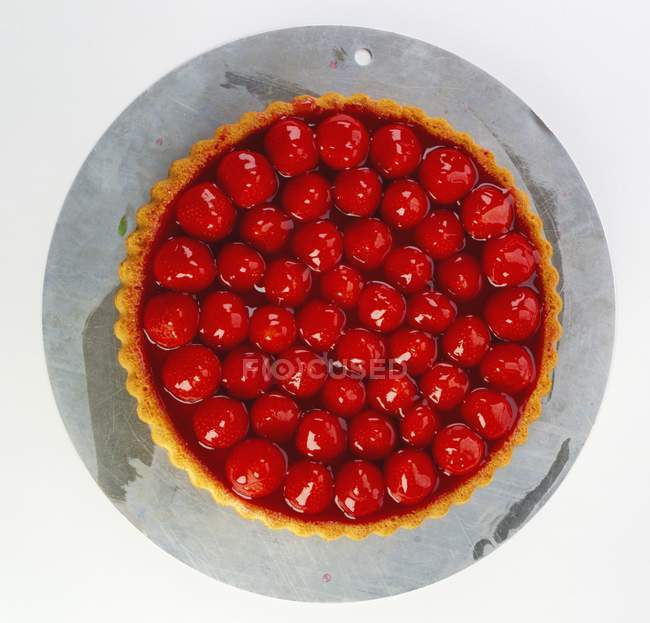 Cherry tart on metal board — Stock Photo
