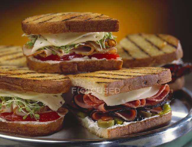 Bandeja de sándwiches a la parrilla en placa de metal - foto de stock