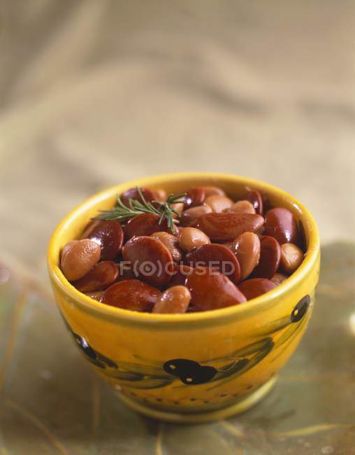 Bean Salad in bowl — Stock Photo