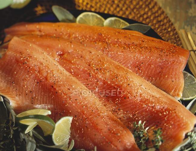 Filetes de salmón fresco con especias - foto de stock