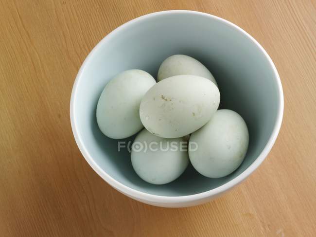 Œufs blancs dans un bol — Photo de stock