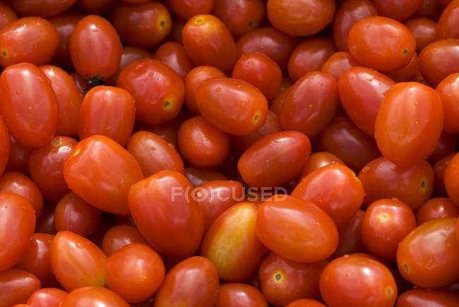 Tomates de uva fresca — Fotografia de Stock