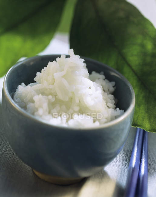 Bowl of cooked white rice — Stock Photo