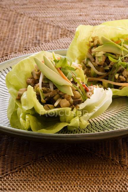 San Choy Bow - avocado e pollo avvolto in foglie di lattuga — Foto stock