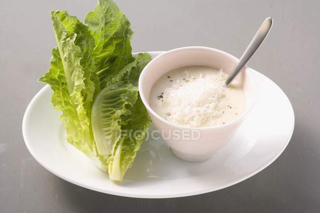 Parmesan dressing with leaves — Stock Photo