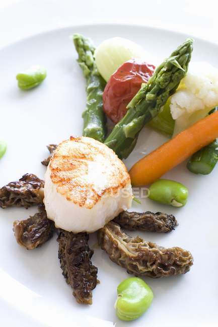 Gegrillte Jakobsmuscheln mit Gemüse auf weißem Teller — Stockfoto