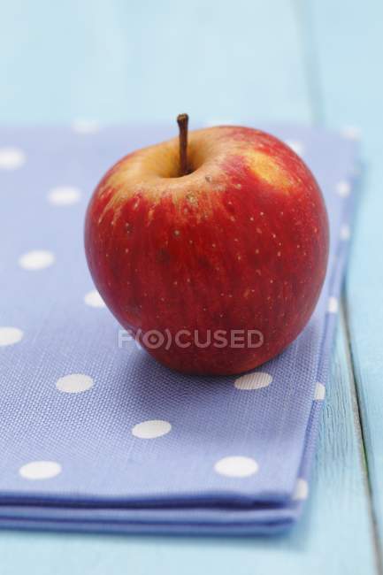 Manzana orgánica Cortland - foto de stock