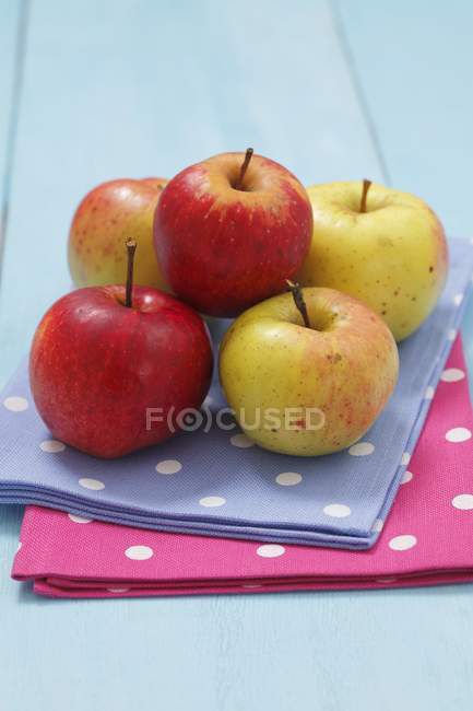 Manzanas de Cortland y Boiken - foto de stock