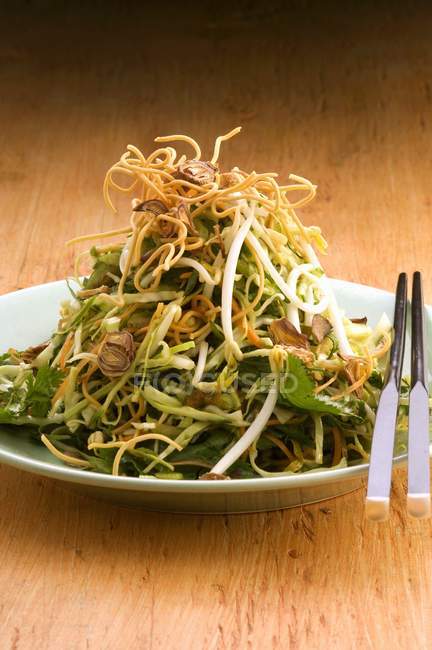 Salade de germes de haricots — Photo de stock