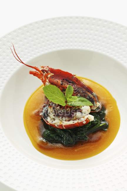 Lobster curry with spinach in mango soup on white plate — Stock Photo