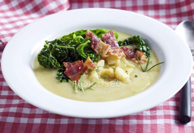 Closeup view of celery soup with bacon and savoy cabbage — Stock Photo
