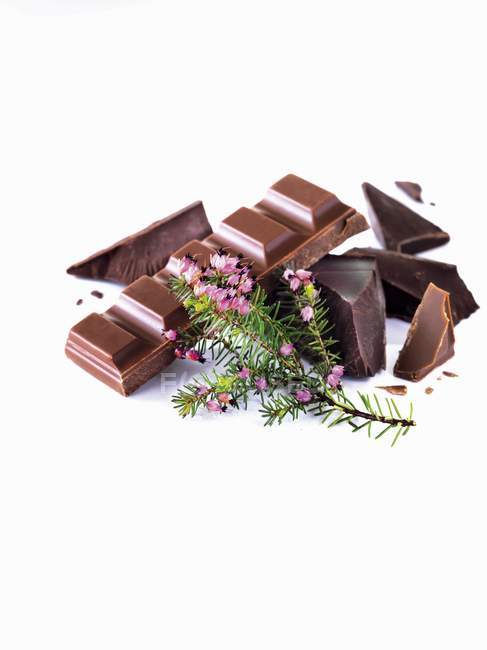 Trozos de chocolate negro y ramita — Stock Photo