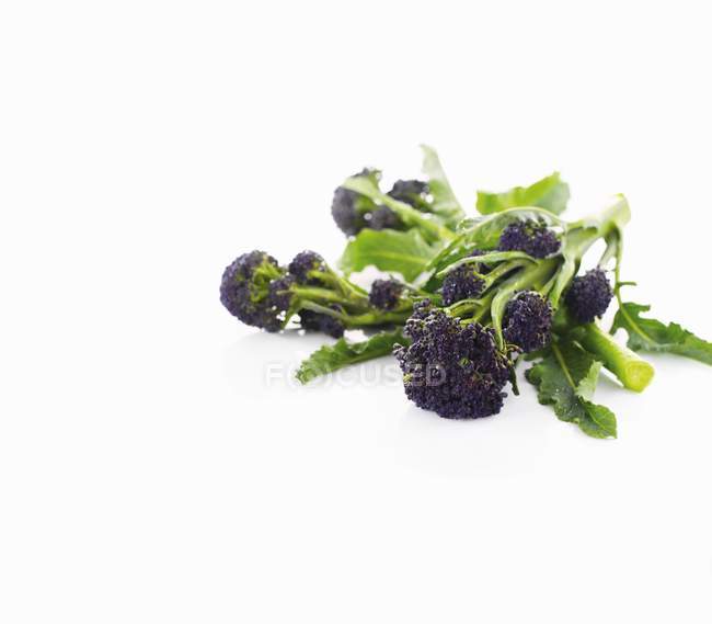 Purple sprouting broccoli — Stock Photo