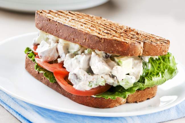 Sanduíche de salada de frango — Fotografia de Stock