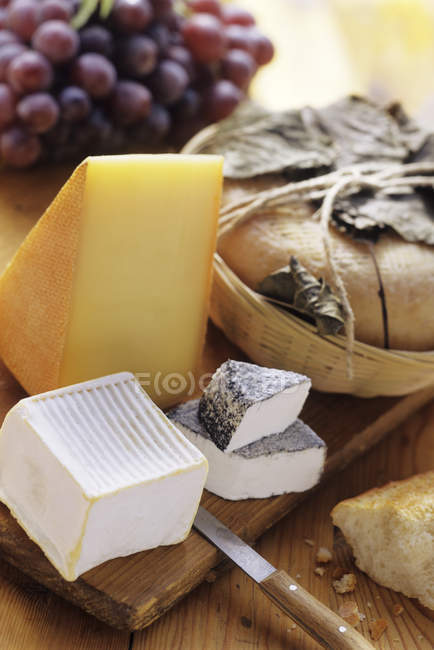 Ассорти сыр на борту — стоковое фото
