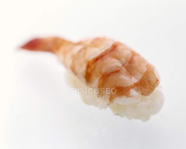 Un camarón nigiri sushi - foto de stock