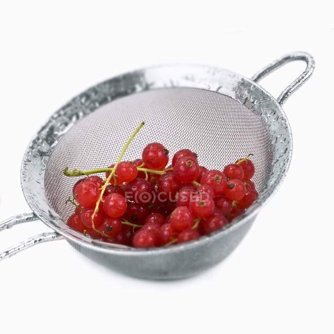 Freshly washed redcurrants in sieve — Stock Photo