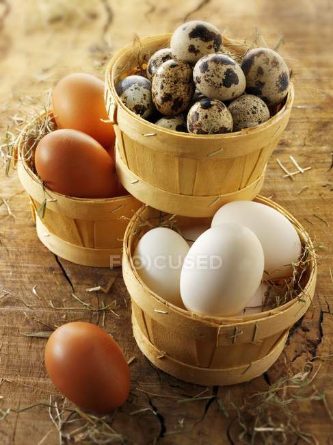 Chicken eggs in basket — Stock Photo