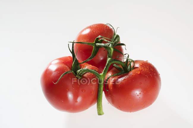Três tomates com gotas de água — Fotografia de Stock
