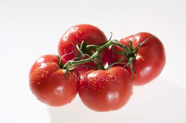 Quatre tomates mouillées — Photo de stock