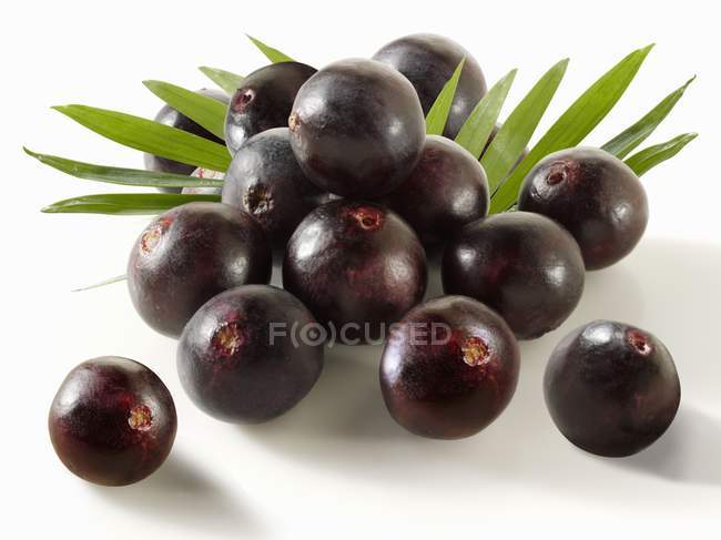 Fresh Acai berries with leaves — Stock Photo