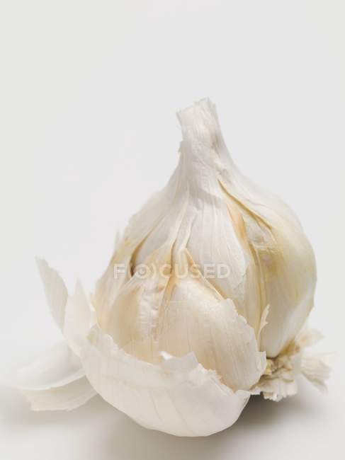 Свежая чесночная луковица — стоковое фото