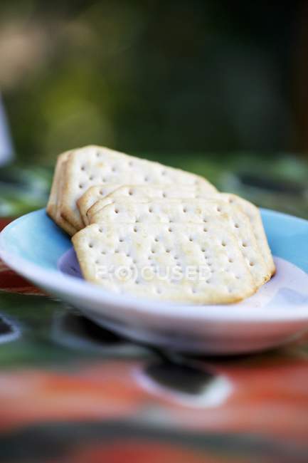 Tasty Crackers on plate — Stock Photo
