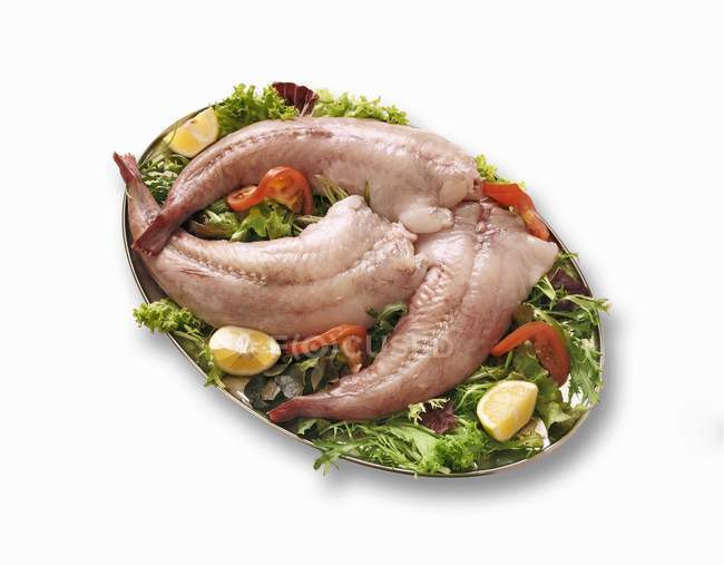 Roher Fisch mit Salat — Stockfoto