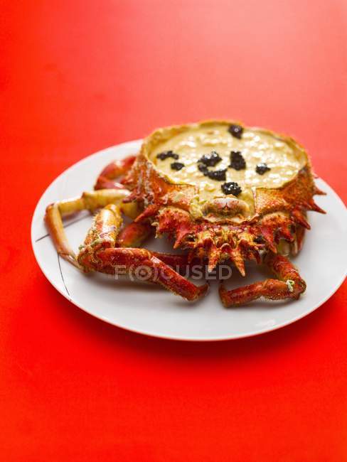 Vista de primer plano del plato de cangrejo de araña relleno - foto de stock
