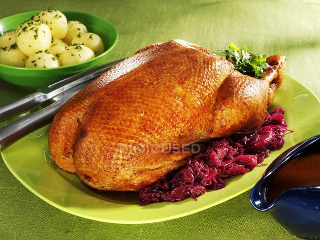Roast goose with cabbage — Stock Photo