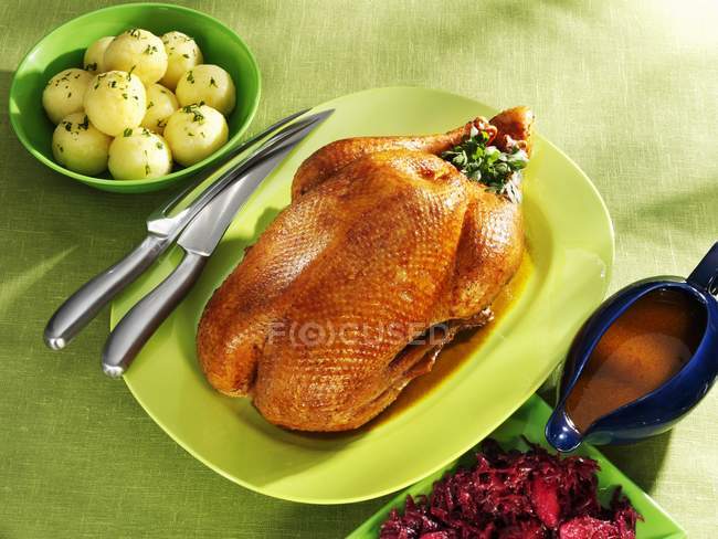 Roast goose and gravy — Stock Photo