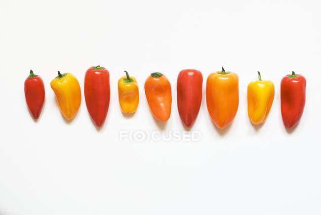 Dolci peperoni colorati — Foto stock