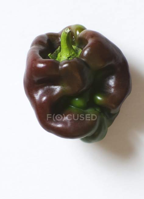 Organic black Pepper — Stock Photo