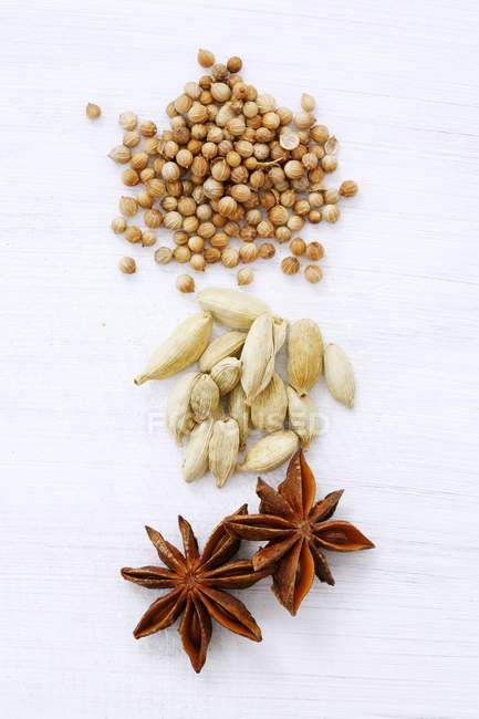 Star anise and coriander seeds — Stock Photo